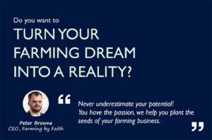 How to Start a Farm in South Africa: A Comprehensive Guide