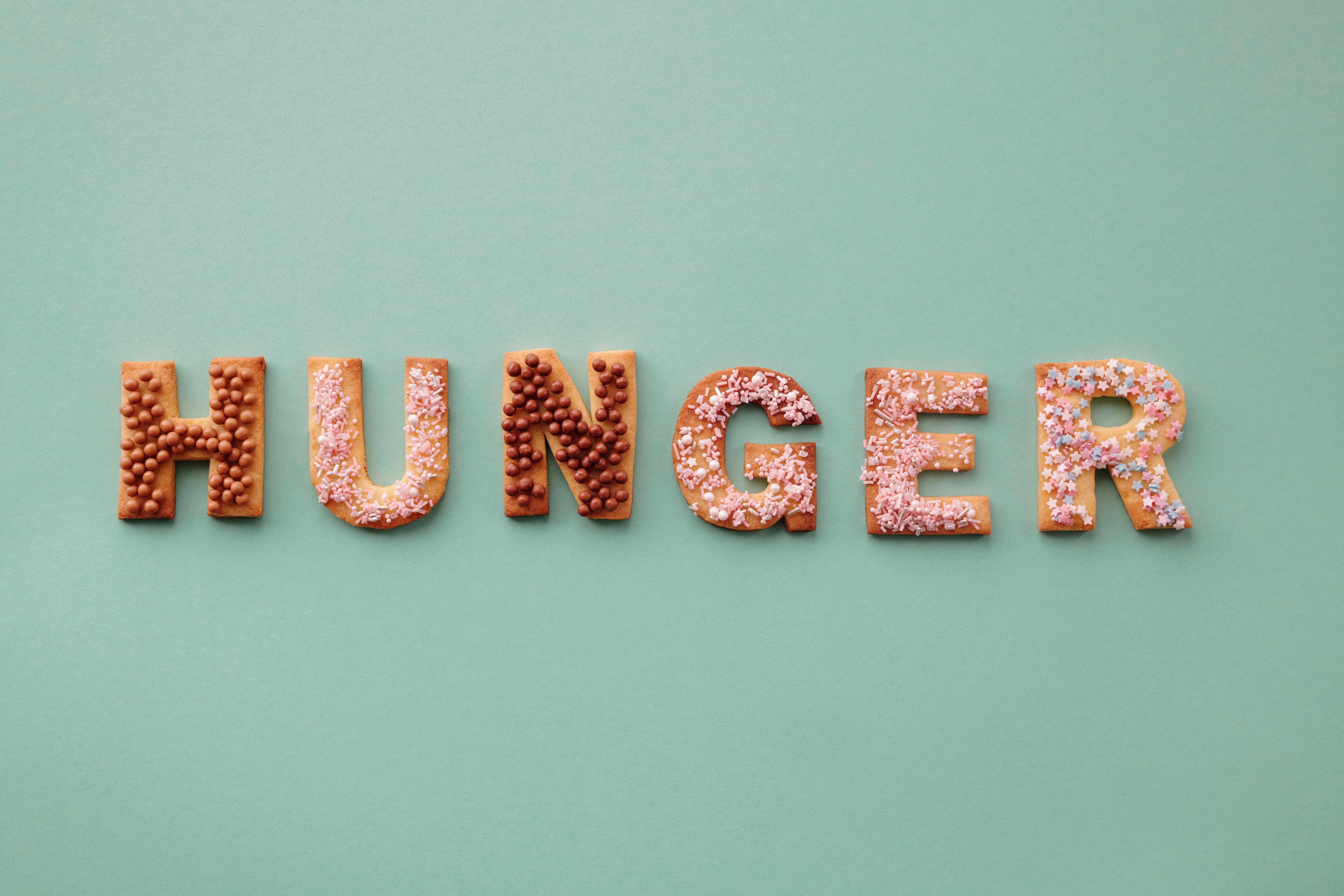 What is Zero Hunger?